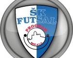Program Dubnica